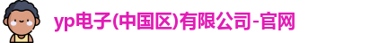 yp电子